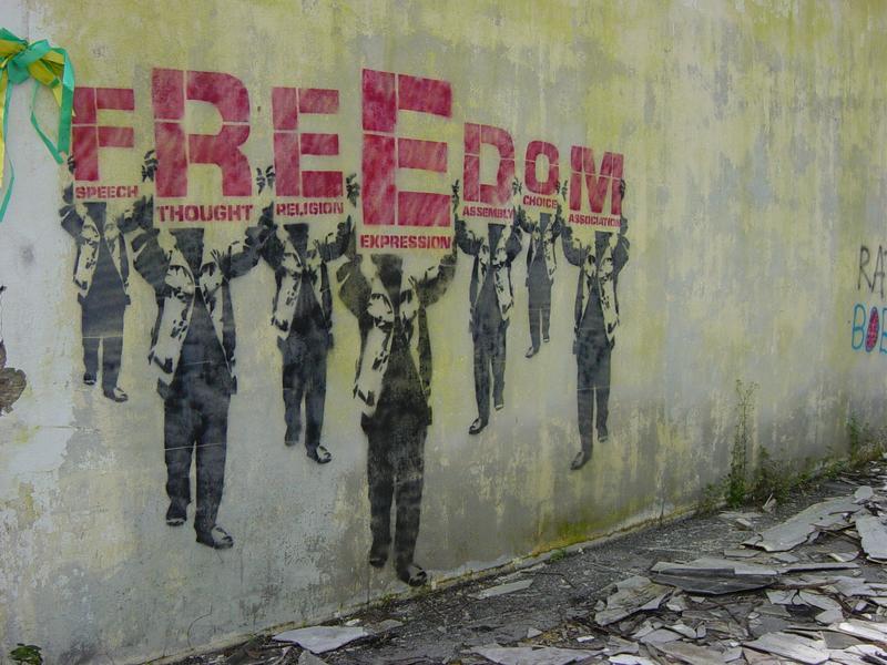Freedom Freedom