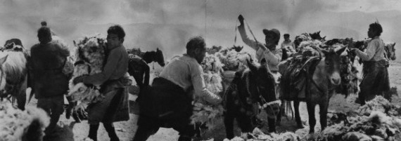 Wool traders